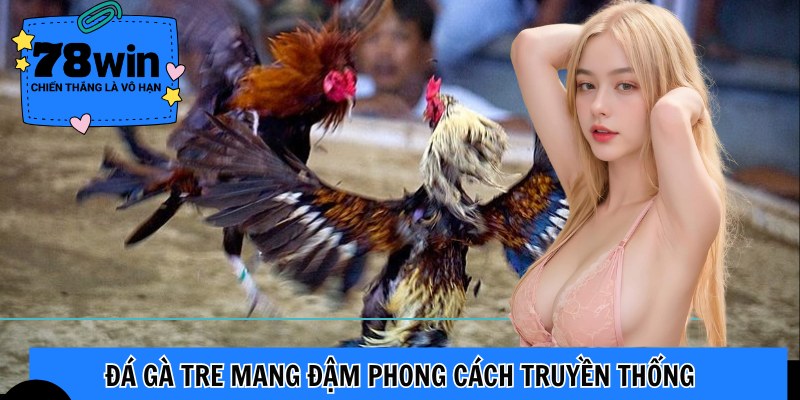 Đá gà tre mang đậm phong cách truyền thống
